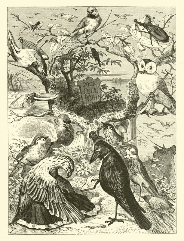 La morte e la sepoltura di Cock Robin da English School