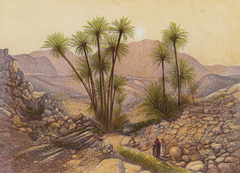 Il deserto del Sinai da English School