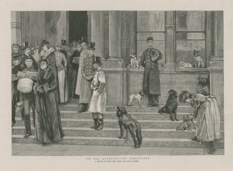 La questione del cane - Nessuna ammissione da English School