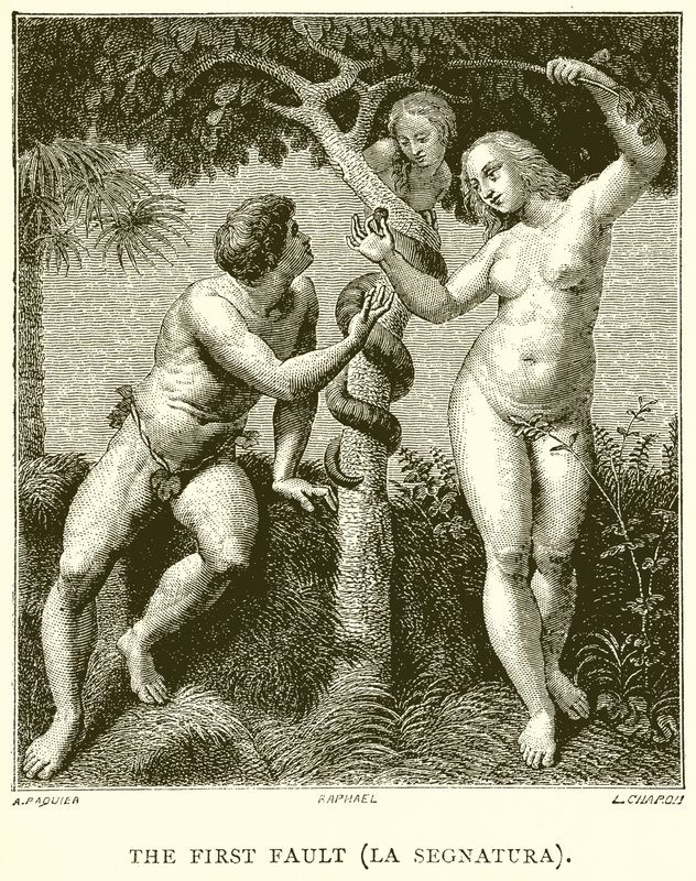 Il Primo Errore (La Segnatura) da English School