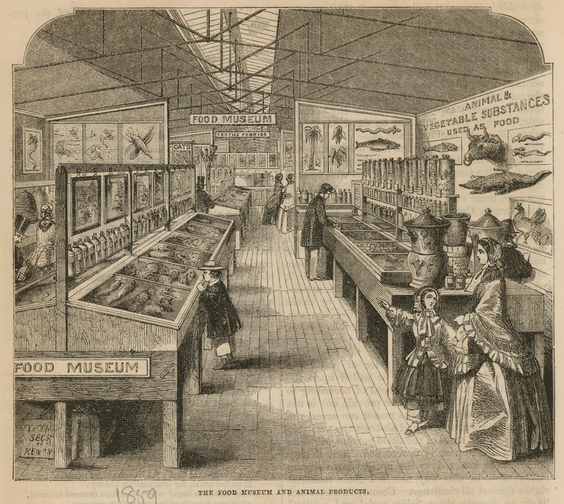 Il Museo del Cibo e dei Prodotti Animali, Museo di South Kensington da English School