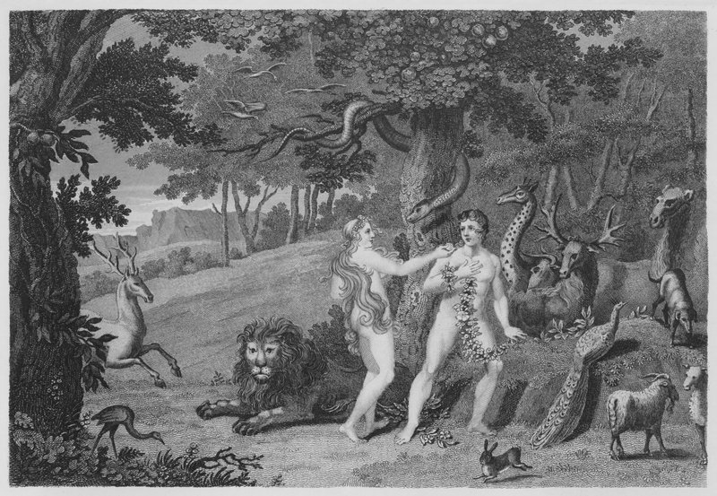 Il frutto proibito, Genesi, III, 6 da English School