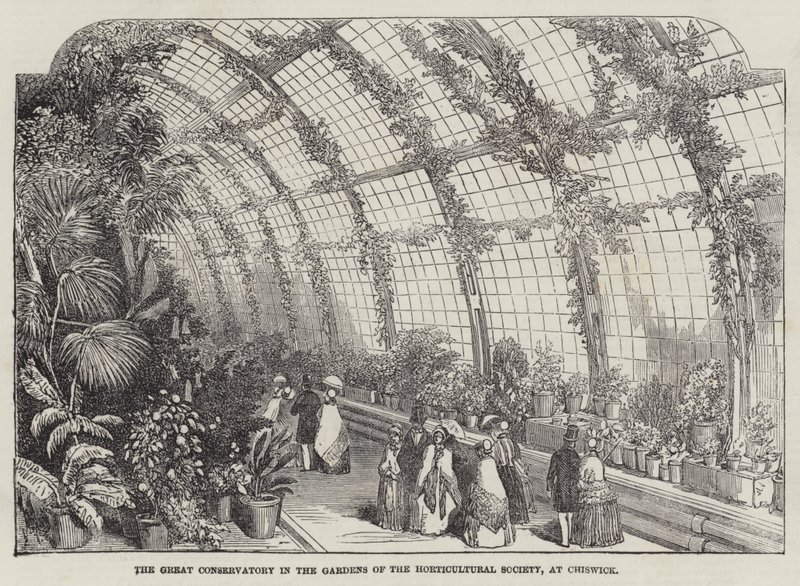 La grande serra nei giardini della Società orticola, a Chiswick (incisione) da English School