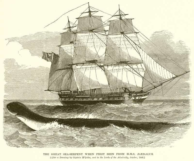 Il grande serpente marino visto per la prima volta dalla H.M.S. Daedalus da English School
