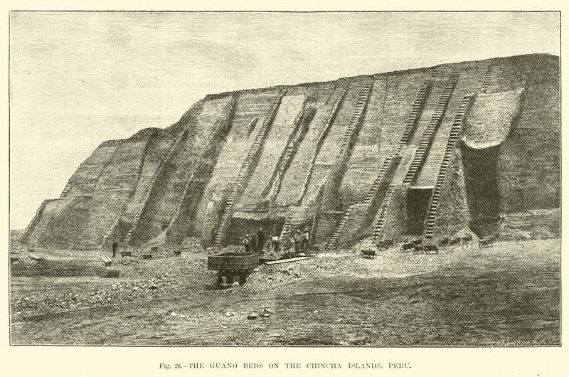 I letti di guano sulle Isole Chincha, Perù da English School