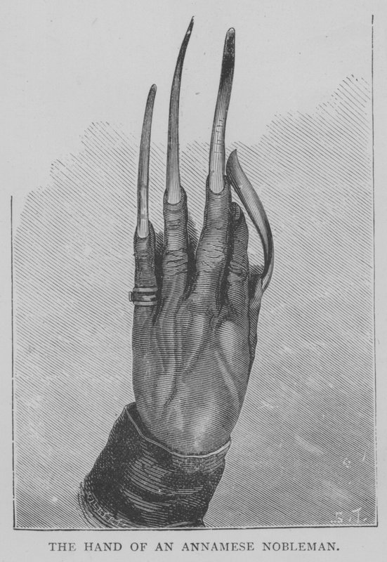 La mano di un nobile annamita da English School