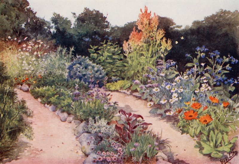 Il giardino delle erbe: Bordure di erbe a giugno da English School