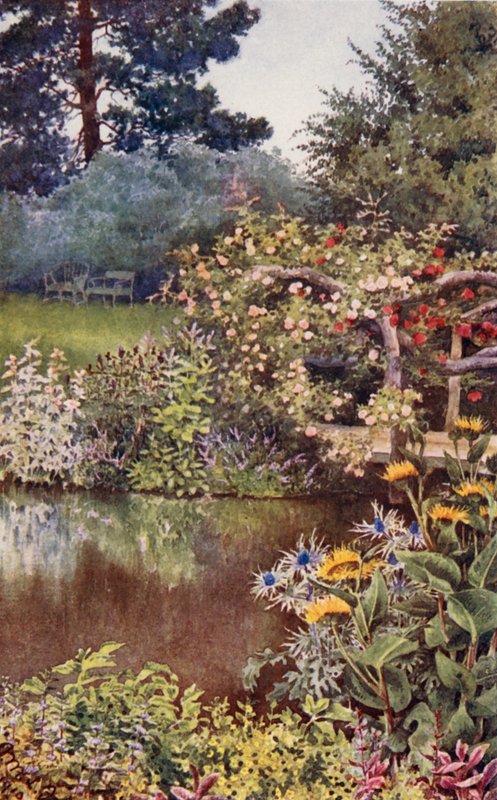 Il giardino delle erbe: Erbe lungo il fiume da English School