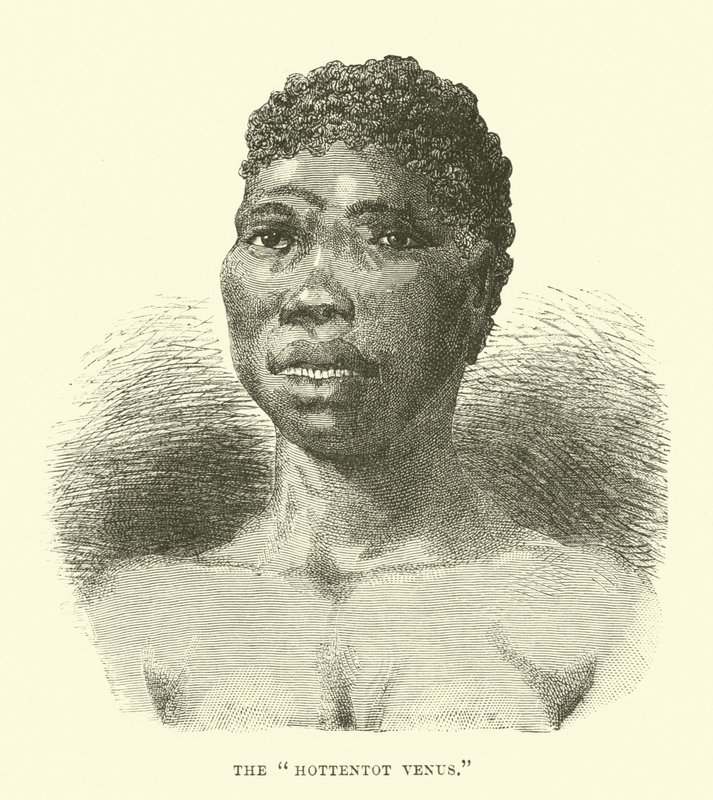 La Venere Ottentotta da English School