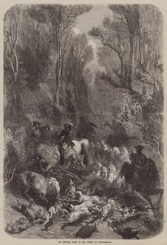 La caccia imperiale nella foresta di Fontainebleau (incisione) da English School