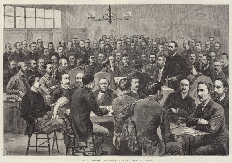 Il partito parlamentare irlandese da English School