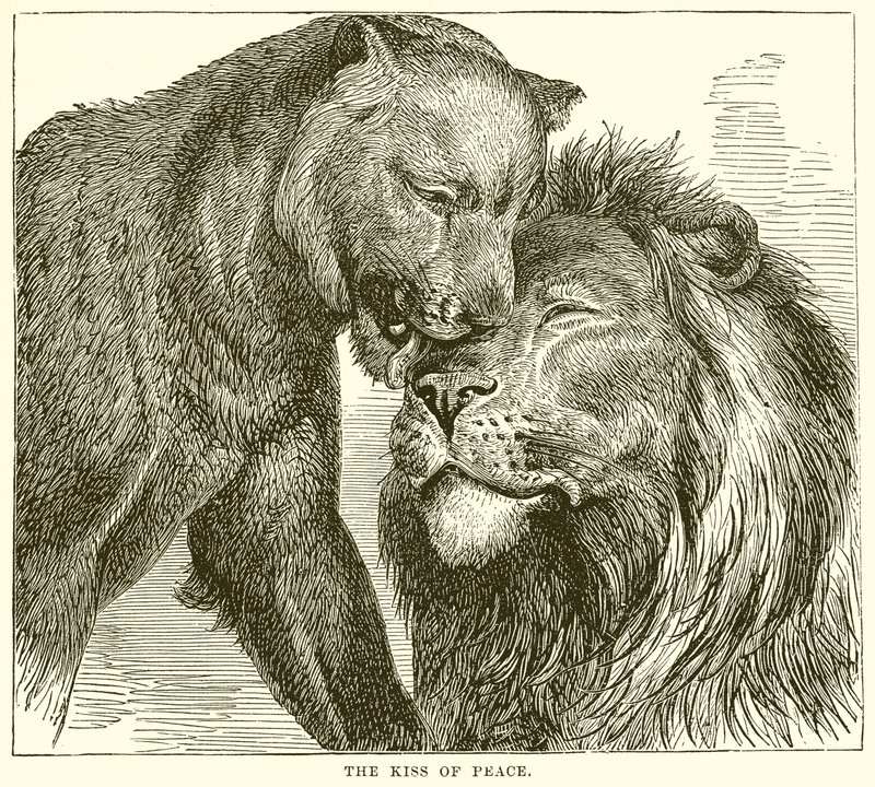 Il bacio della pace da English School