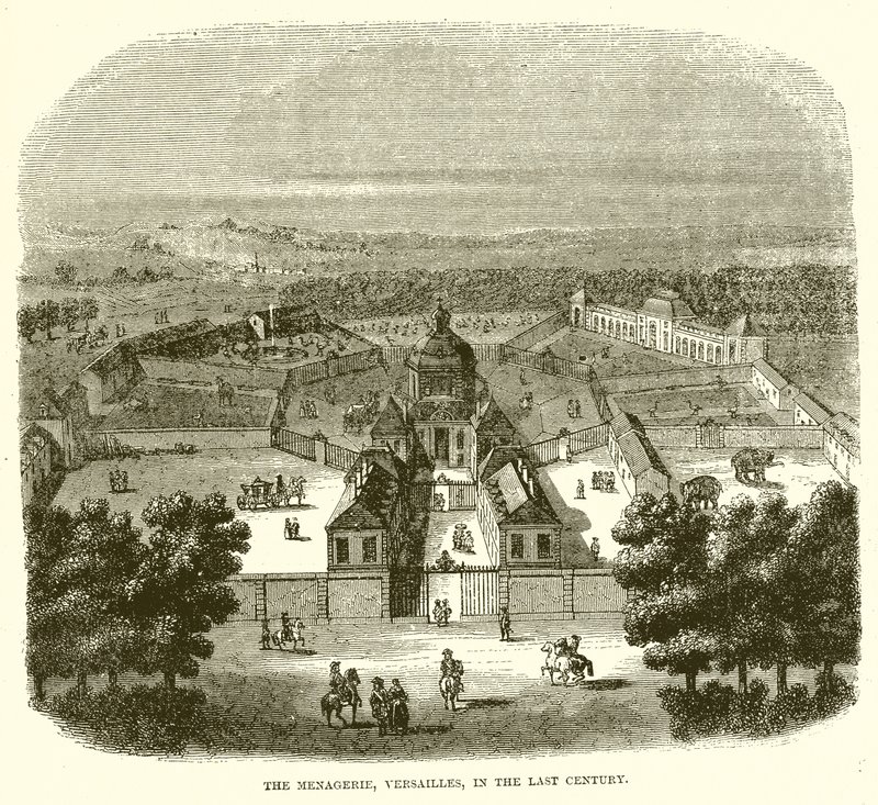 La Menagerie, Versailles, nel Secolo Scorso da English School