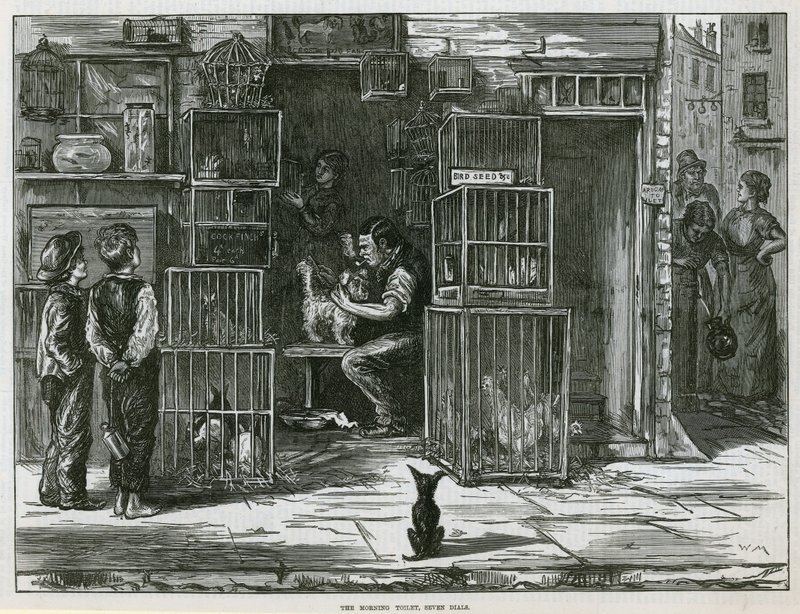 La toilette del mattino, Seven Dials da English School