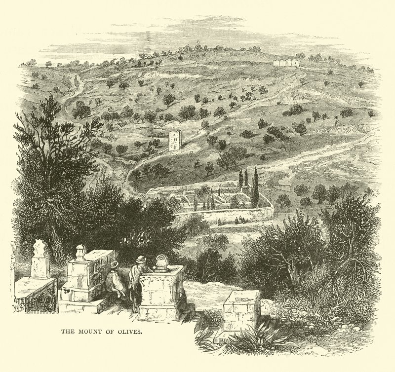 Il Monte degli Ulivi da English School