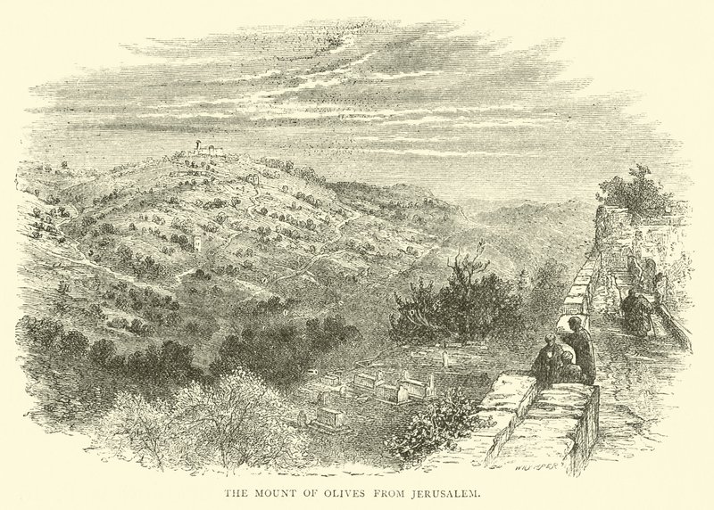 Il Monte degli Ulivi da Gerusalemme da English School