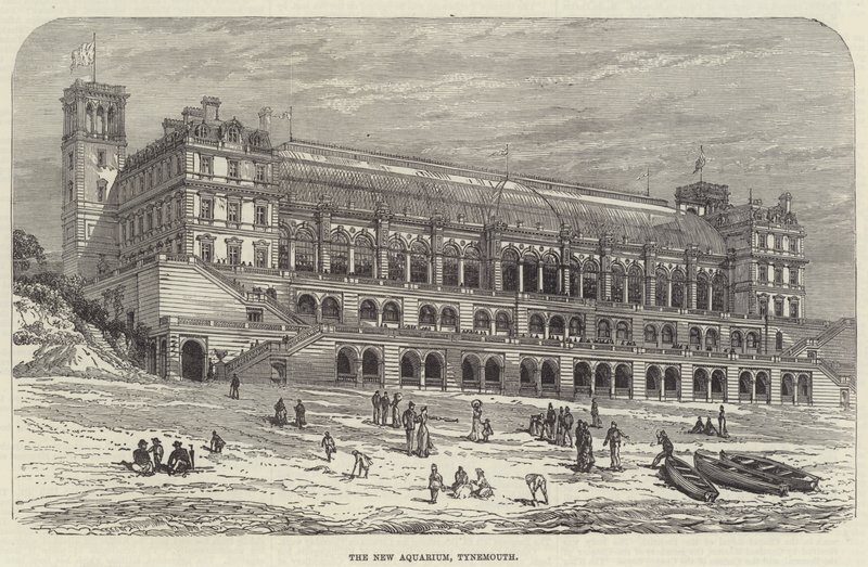 Il Nuovo Acquario, Tynemouth da English School