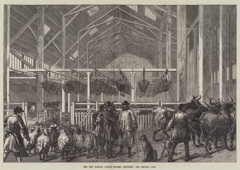 Il nuovo mercato del bestiame estero, Deptford, il capannone centrale (incisione) da English School