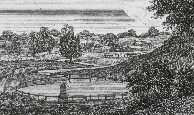 Il Nuovo Fiume, Hertfordshire da English School