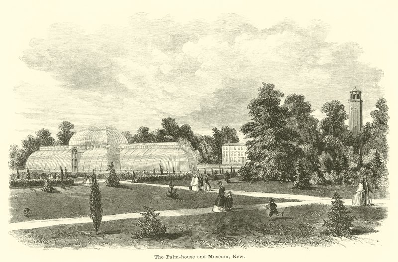 La serra delle palme e il museo, Kew da English School