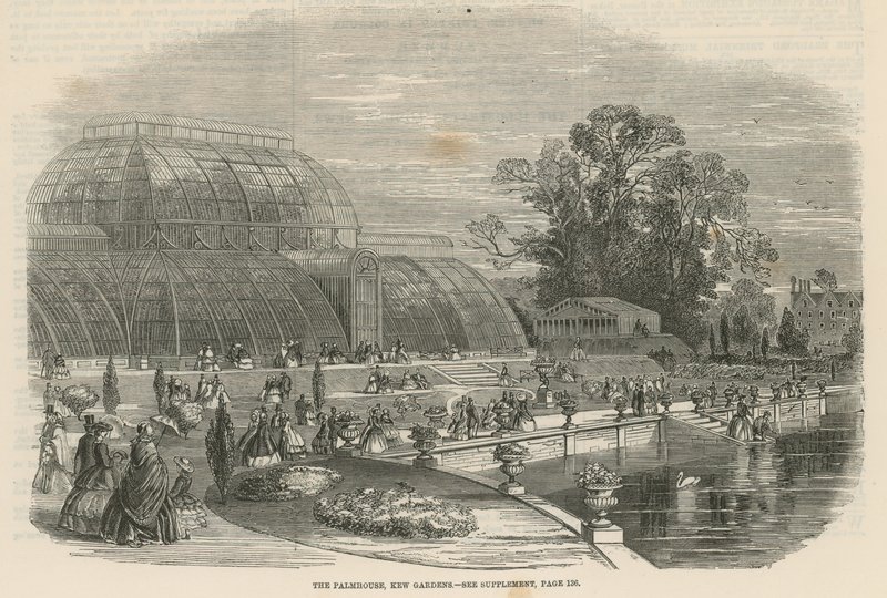 La Casa delle Palme, Giardini di Kew, Londra da English School
