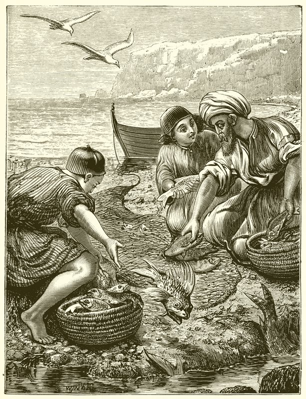La Parabola della Rete da English School