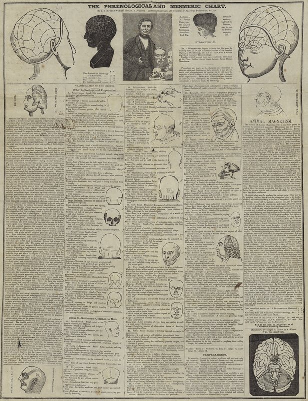La carta frenologica e mesmerica da English School