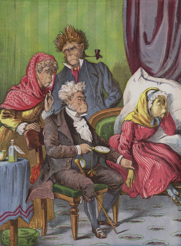 Il medico (cromolitografia) da English School