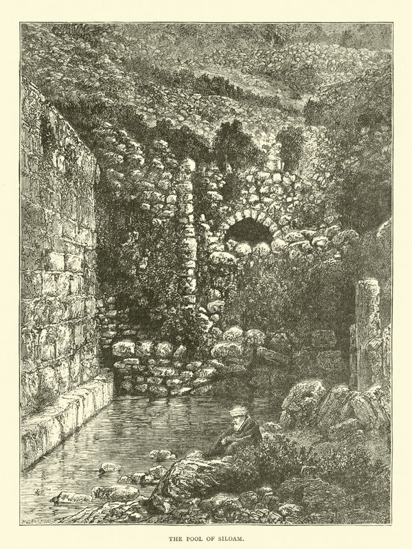 La Piscina di Siloe da English School