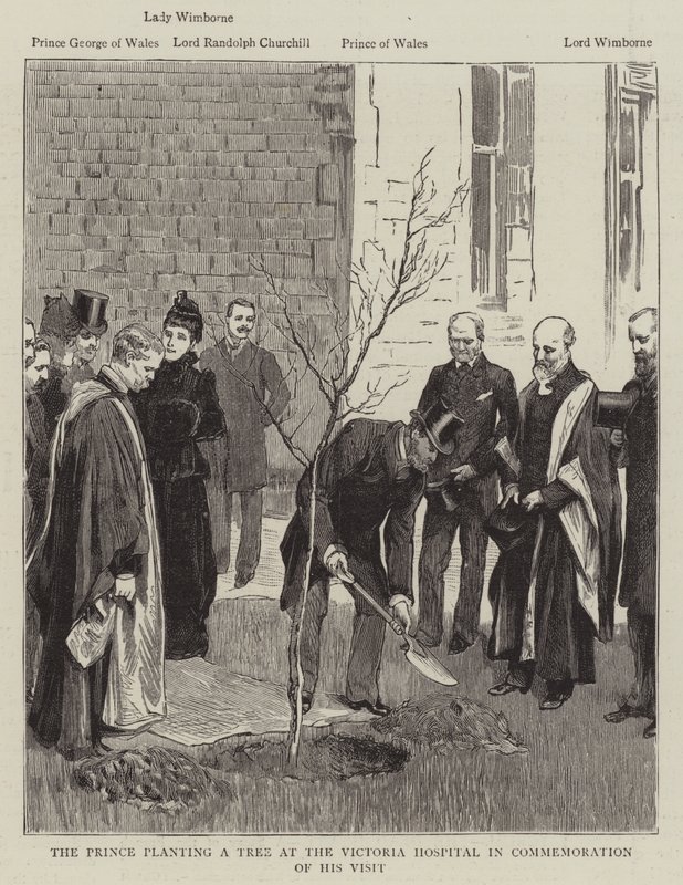 Il Principe che pianta un albero all