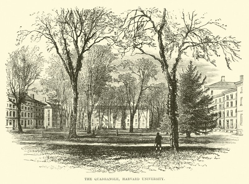 Il Quadrilatero, Università di Harvard da English School