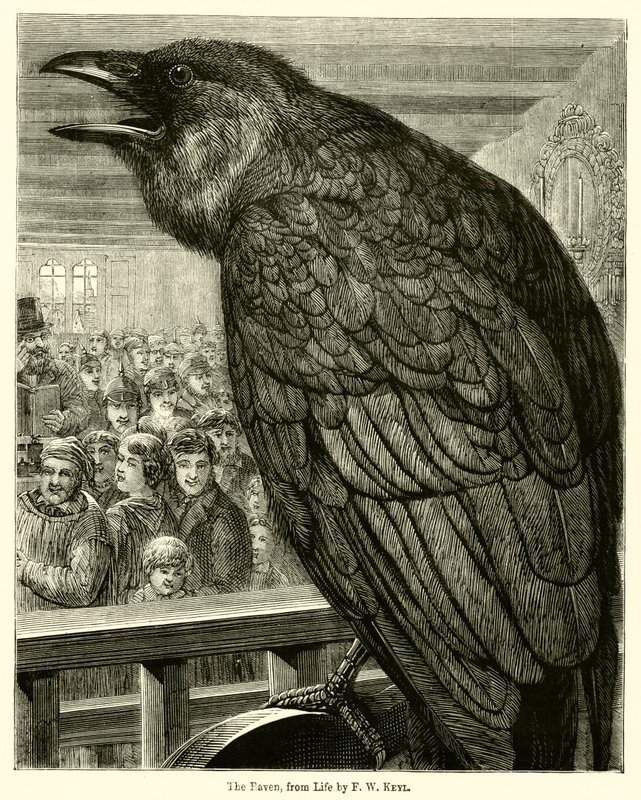 Il corvo, dal vivo da English School