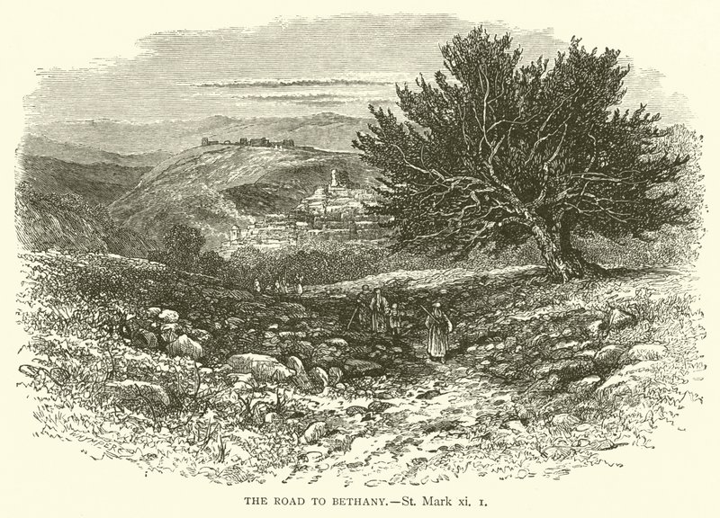 La Strada per Betania, San Marco, xi da English School