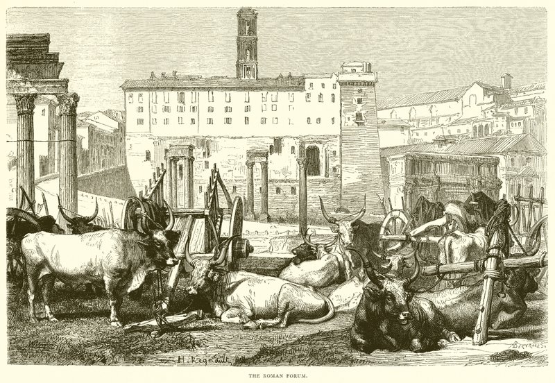 Il Foro Romano da English School