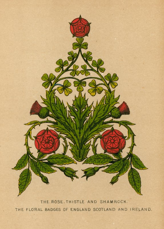La rosa, il cardo e il trifoglio. Gli stemmi floreali di Inghilterra, Scozia e Irlanda da English School