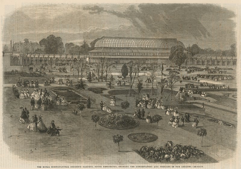 I Giardini della Società Orticola Reale, South Kensington da English School