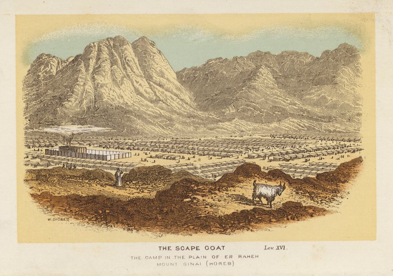 Il capro espiatorio, il campo nella pianura di Er Raheh Monte Sinai, Horeb da English School