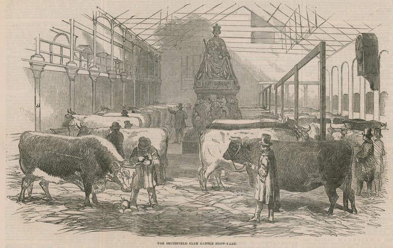Il cortile della mostra di bestiame del Smithfield Club da English School