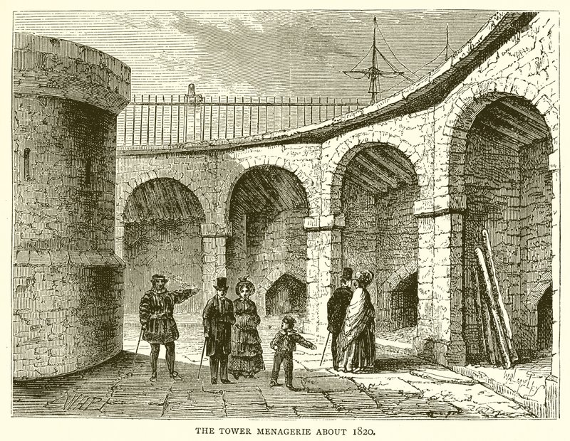 La menagerie della Torre intorno al 1820 da English School