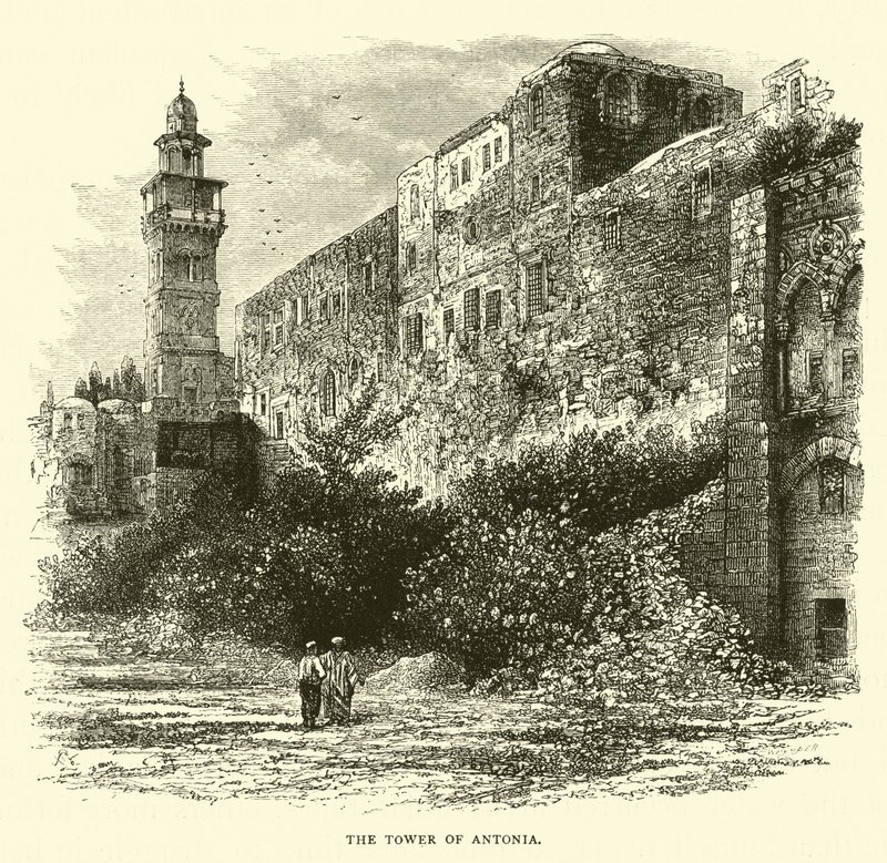 La Torre di Antonia da English School