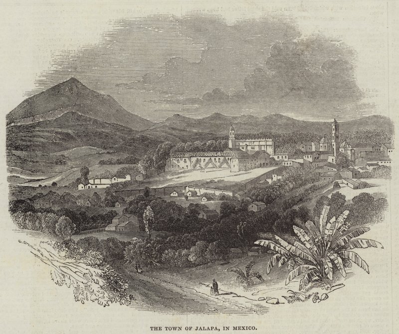 La città di Jalapa, in Messico (incisione) da English School