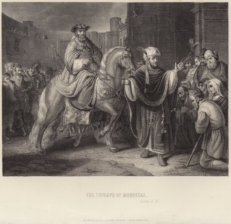 Il Trionfo di Mardocheo da English School