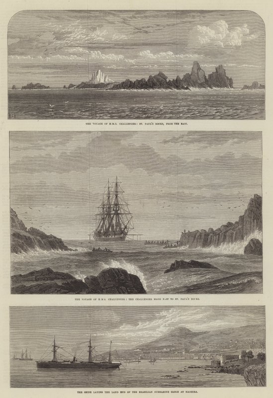 Il viaggio della HMS Challenger, le rocce di San Paolo, da est da English School