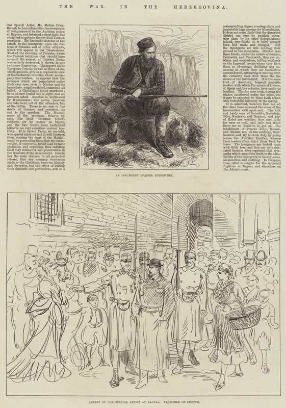 La Guerra in Erzegovina da English School