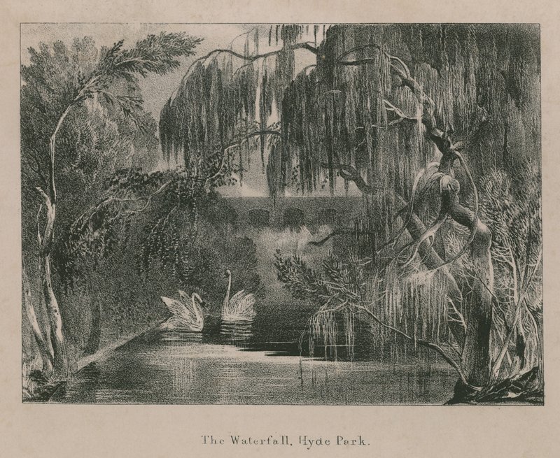 La cascata, Hyde Park, Londra da English School