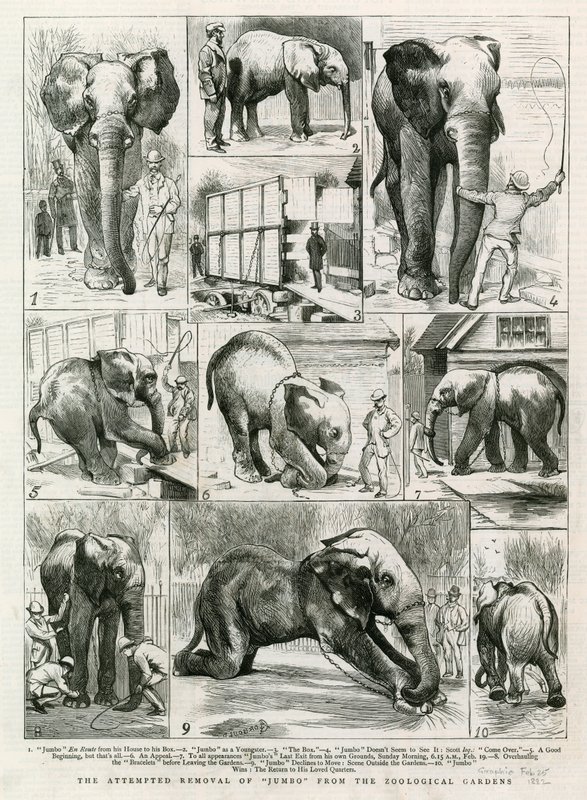 Il tentativo di rimozione di Jumbo dai Giardini Zoologici da English School