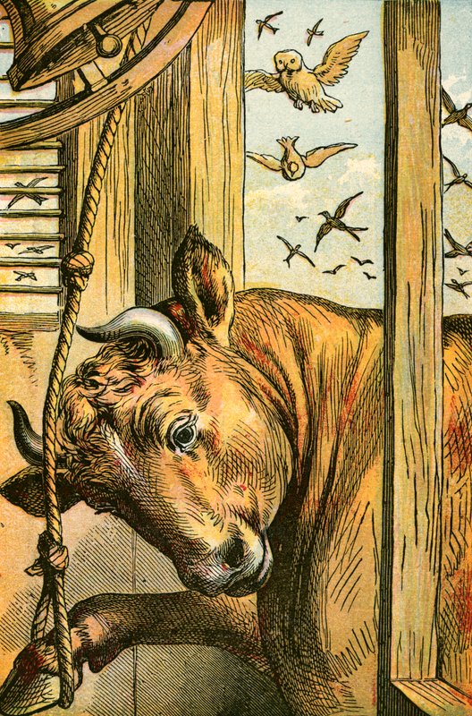 Il toro che suona la campana da English School
