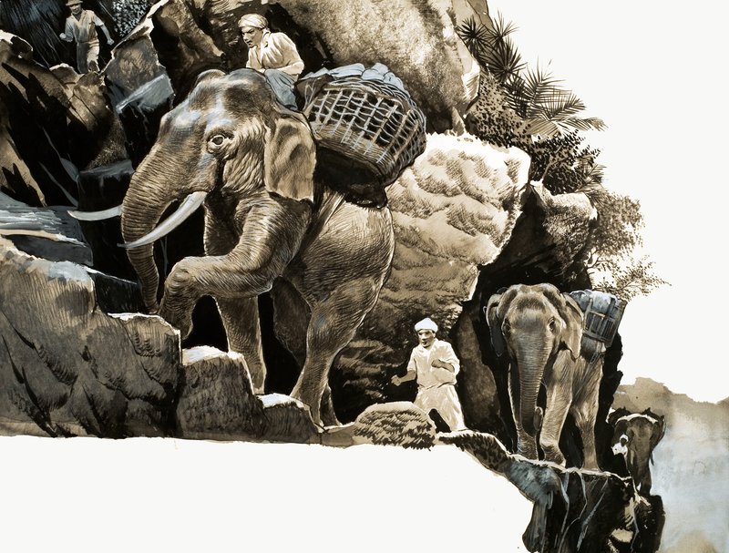 Il viaggio dell