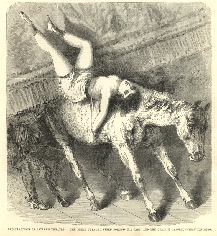 Il cavallo selvaggio dimentica la sua parte e il sipario purtroppo cala da English School