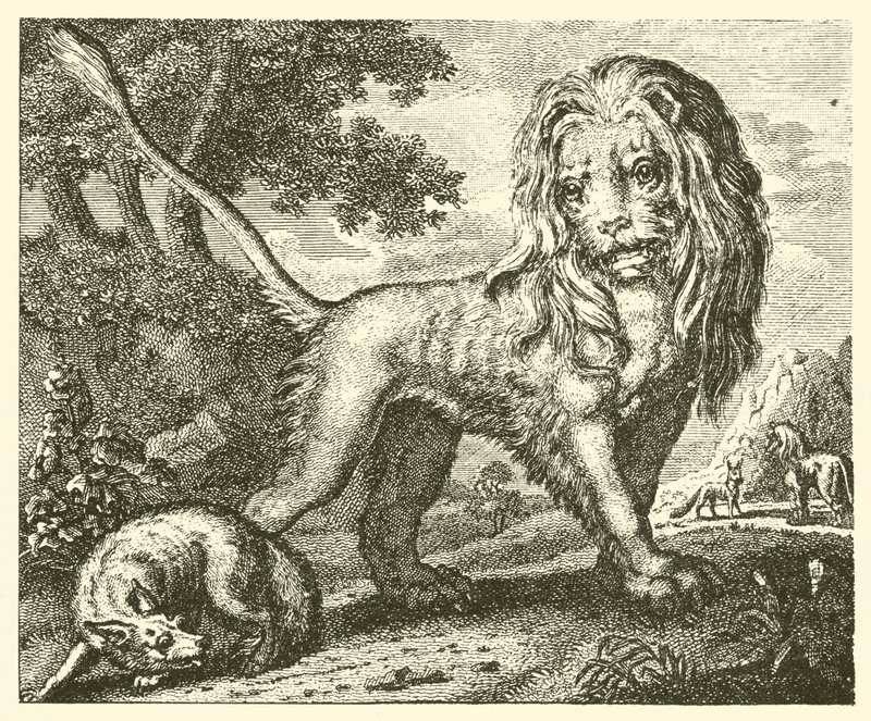 La volpe e il leone da English School